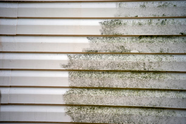 Affordable Siding Repair and Maintenance Services in St Joseph, MO